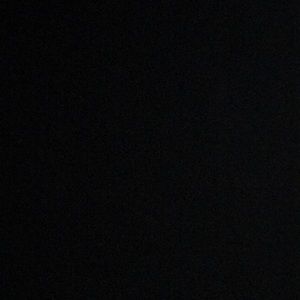 Meet your Posher, Sylvia